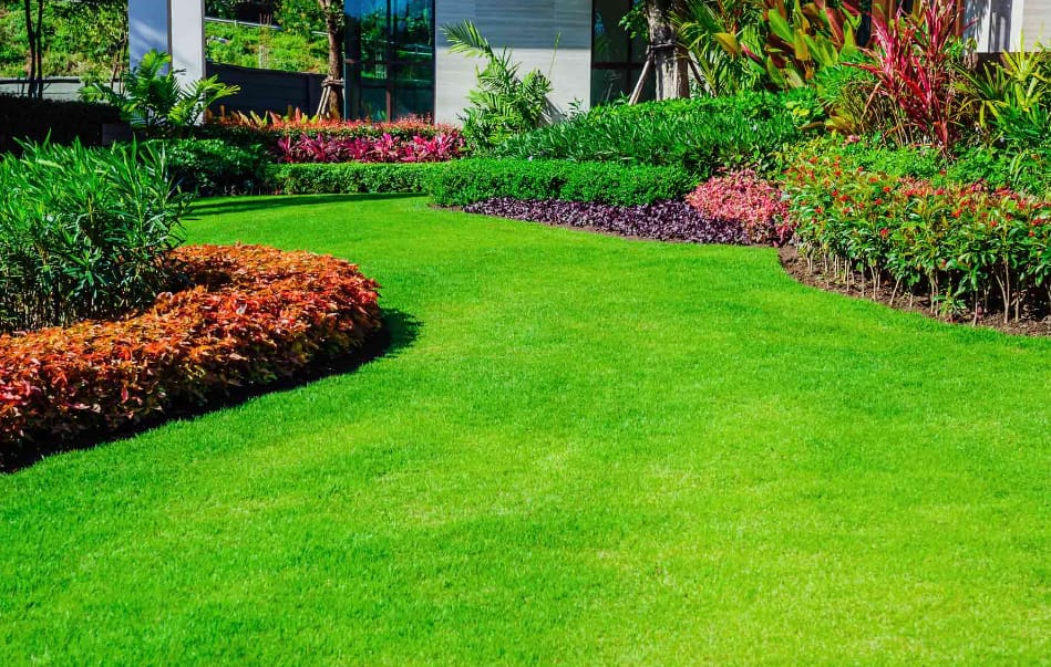 Green Lawn