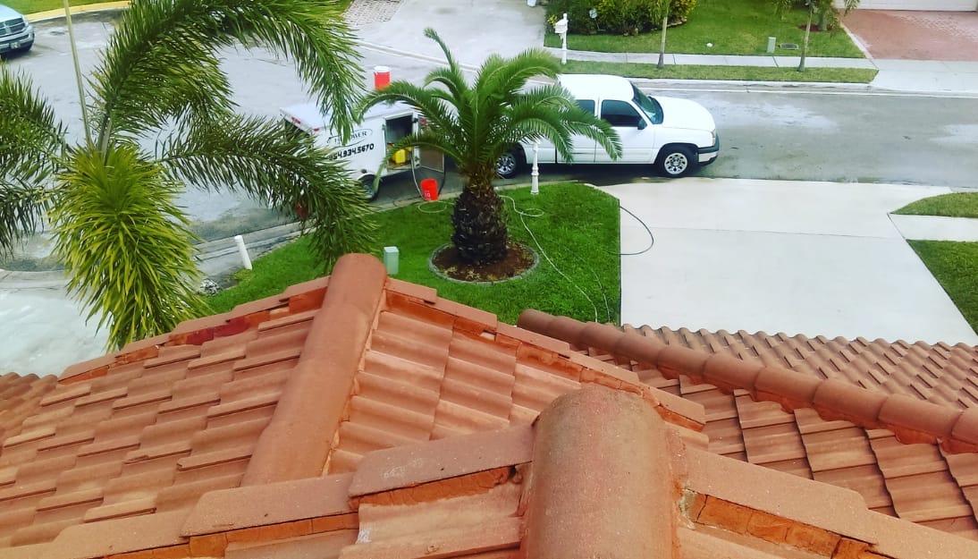 Tile Roof Cleaning