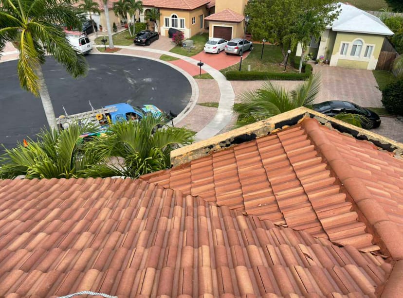 Tile Roof Cleaning