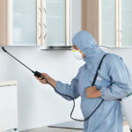 Pest Inspections