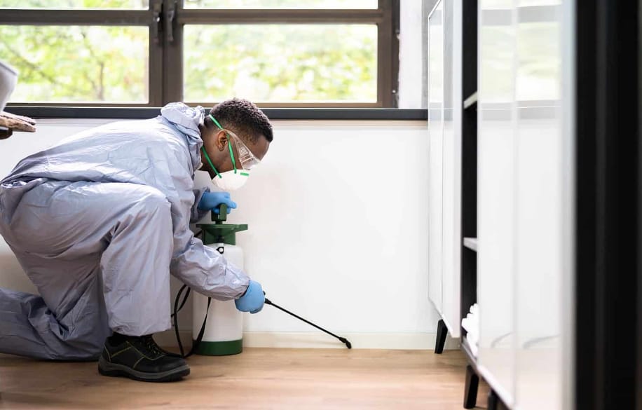 Pest Inspections