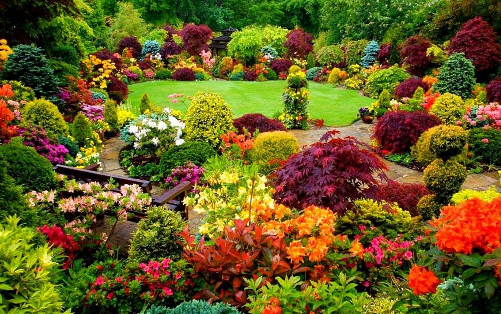 Flower Bed Maintenance