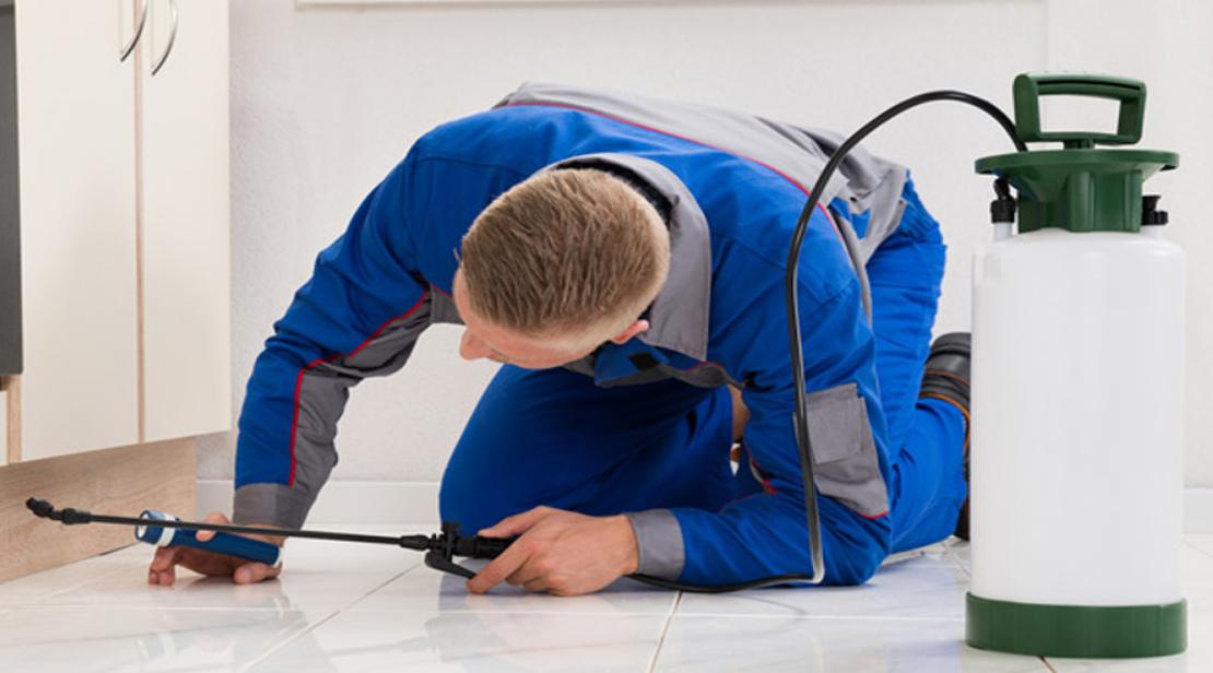 pest control