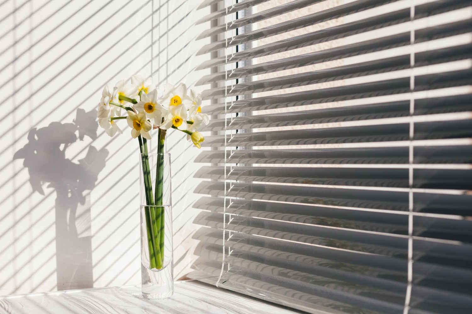 Jalousie Windows