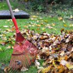 Rakes