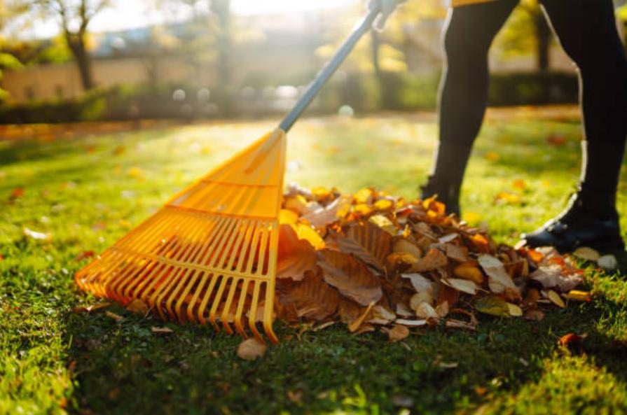 Rakes