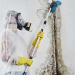 mold remediation
