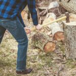 tree stump removal